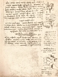 スフォルツァ記念碑の研究、c1482-c1499 1883