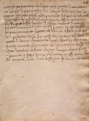 The Codex Trivulzianus からの無署名の抜粋