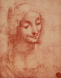 レオナルド・ダ・ヴィンチが描いた女性の顔。アカデミーギャラリー（ヴェニス