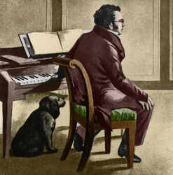 オーストリアの作曲家フランツ・シューベルトの肖像