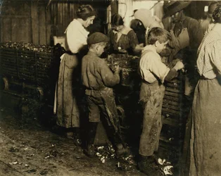 1913年、サウスカロライナ州ブラフトンのVarn und Platt Canning Co.で7ポットを打った3年間（1日6ポット）を打った10歳のジミー
