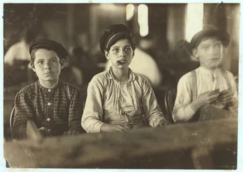 Englehardt und Co、タンパ、フロリダ州、1909年に葉巻を作る少年たち