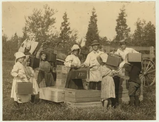 1910年にニュージャージー州ペンバートン近くのターキータウンにあるセオドアバッドの沼地でブッシェル男にクランベリーのつばを運んだ子供たち