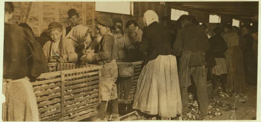 1911年、ルイジアナ州ダンバーで殻をむくための小屋のボス（パイプ付き）によって監視された9歳のカキシャッカー、ジョニー