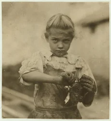 ロージー、7歳、文盲、1913年サウスカロライナ州ブラフトンのVarn und Platt Canning Companyでオイスターシャッカーとして2年働いた