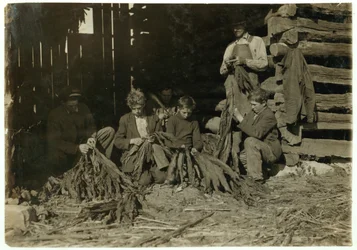 1916年、ケンタッキー州ロックフィールドのウォレン郡で、12歳、14歳、17歳のJSバーチの息子たち