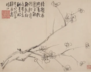 開花梅のアルバム、1742年。