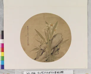 ナルキッソスと岩」 制作年不詳 （絹またはペーパーの扇面にインクと彩色。）