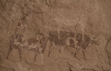 牛と人間の像、洞窟画、Oued in Djeran、Djanet付近、Tassili n