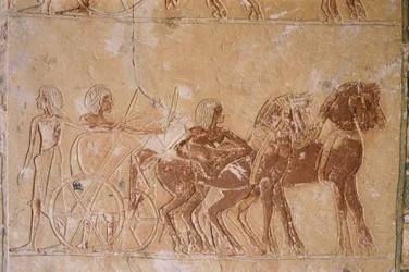 エジプト、カイロ、古代メンフィス、サッカラのネクロポリス、ホルエムヘブの墓の絵画レリーフ