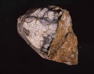 1875年にインドで発見された隕石 - パリ自然史博物館（Museum d