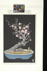 矮性梅（色木版画）