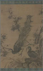 クジャクのつがい