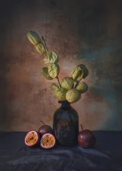 「ダーク・パッションフルーツの静物画」