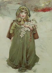 クリスマスローズの前絵、1880年