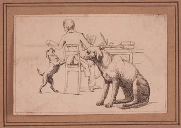 A dog