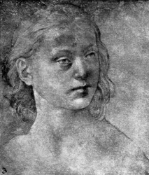 15世紀または16世紀の1930年の若い女性の頭。