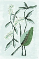 グリーンの植物水彩画
