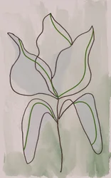 ミニマルな植物の輪郭