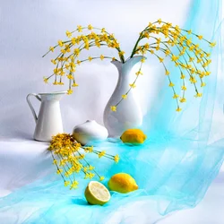鮮やかな黄色の花々の静物画