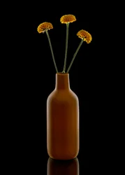 温かみのある花と茶色の花瓶