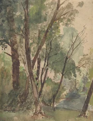 池のほとりの木」1853年～1878年