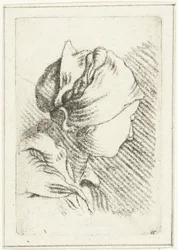 スカーフをかぶった女性の頭を持つ学習シート