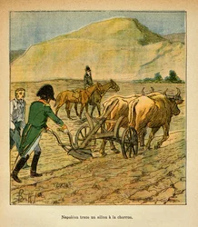 エマニュエル・ド・ラス・ケース伯爵（1766-1842）の著書『サン・ヘレネの記念』からボンブル・ルイ（1862-1927）が描いたイラスト。サン・ヘレネにて、皇帝ナポレオンが耕運機の溝をなぞる場面、プライベート・コレクション