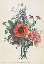 自然をモチーフに描かれた花と果物のコレクション: ジギタリス、クレマチス、パンジー、ピオニー、ポピー、イエロー デイリリーのブーケ