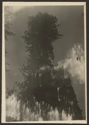 風景
