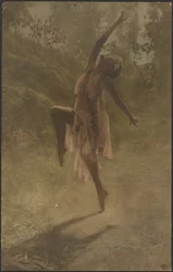 南部の薔薇の踊り