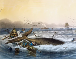 南洋の捕鯨」ルイ・ルブルトン（1866年没）のカラーリトグラフ