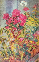 ツツジ、1918年頃（船上油）