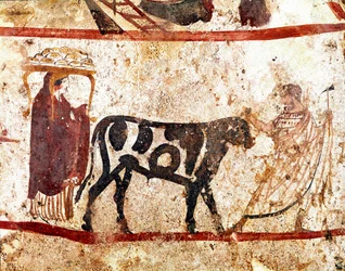 犠牲の祭壇に先導する雄牛。イタリア、パエストゥムのアンドリウオロのネクロポリスから出土した紀元前4世紀のルカニアのフレスコ画。イタリア国立考古学博物館、パエストゥム