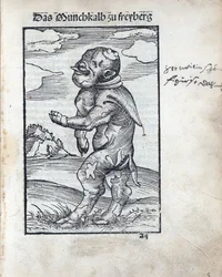 フライベルクの修道士の子牛（Das Moenchskalb zu Freiberg）」、クラナッハ、ルーカス、ザ・エルダー（1472-1553）の作品。ウッドカット