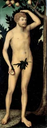 「アダム」 ルーカス クラナッハ 2 世 (1515-1586) 作 1537 年以降 薄暗い 171 x 63 cm ドイツ ドレスデン州立美術館