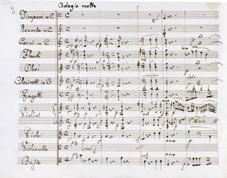ドイツの作曲家ルートヴィヒ・ヴァン・ベートーヴェン（1770-1827）の交響曲第1番ハ長調の楽譜ページ（1799-1800）ミラノのBiblioteca del Conservatorio