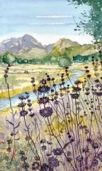 山と川の野花