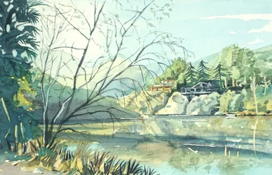 静かな湖畔の情景