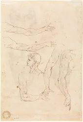 1500年代半ばの5本の腕と頭のスケッチ。