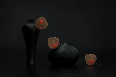 ホオズキと黒い花瓶