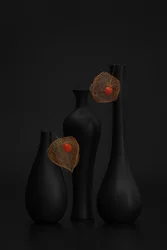 優雅な黒いホオズキの静物画