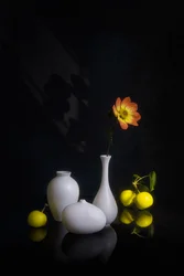 雰囲気のある花と果実