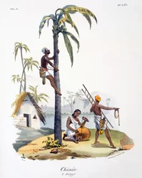 ヤシの木に登るナダルカーストの男（1827〜35年）
