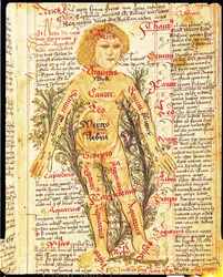 Tractatus de Pestilenciaの人体の病気に対する星の影響