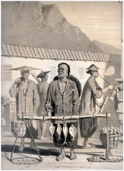 魚屋、ビクトリア通り、香港、中国、c1860。