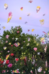 抽象化された花、2019年（アーカイバル顔料プリントにアクリル絵の具）