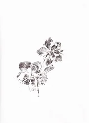 抽象的な花の模様