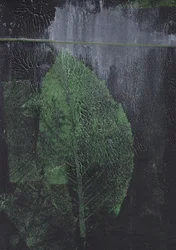 「緑の葉」の要約
