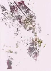 素朴で植物的な印象